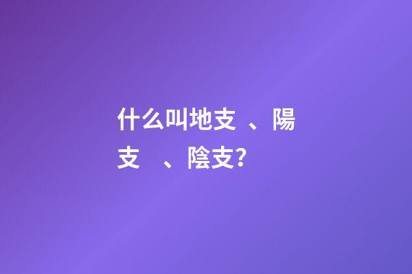 什么叫地支、陽支、陰支？